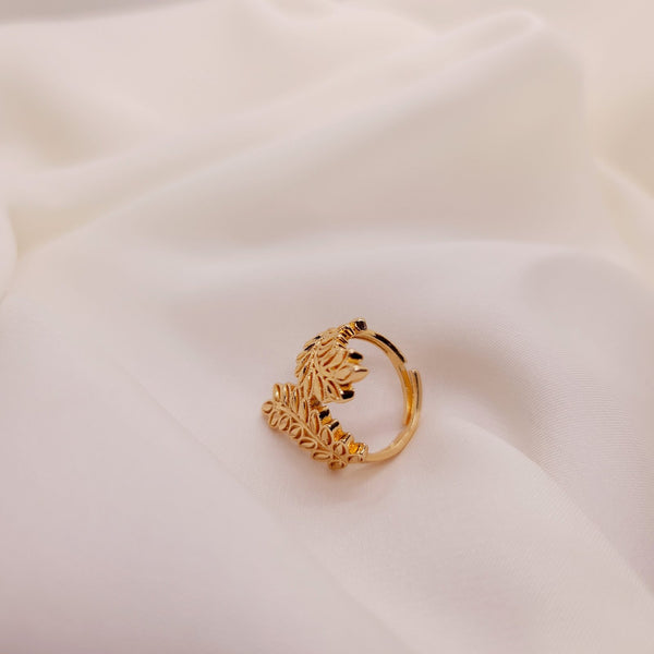 Ring-027(2)